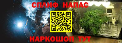 PSILOCYBIN Моздок