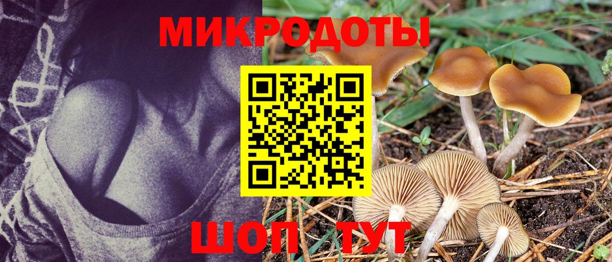 Галлюциногенные грибы Psilocybine cubensis Удомля