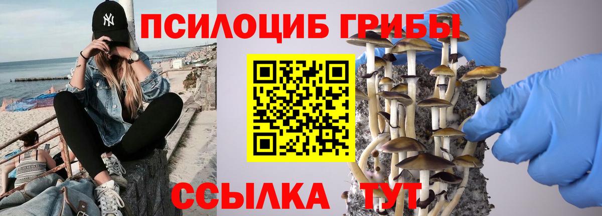 Удомля  Галлюциногенные грибы Cubensis  Вход с VPN  Псилоцибиновые грибы мицелий 
